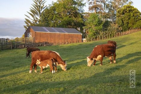 Photo of property in 1239 Peak Road, Helensville, 0875