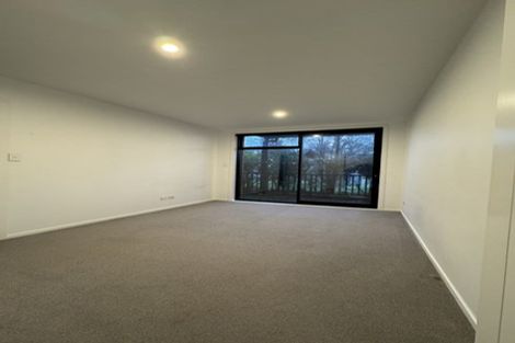 Photo of property in 4b Regent Street, Newtown, Wellington, 6021