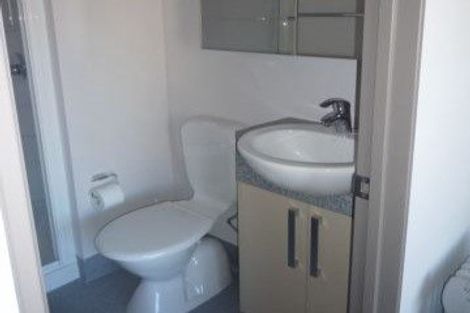 Photo of property in Dual Apartments, 108/142u Vivian Street, Te Aro, Wellington, 6011