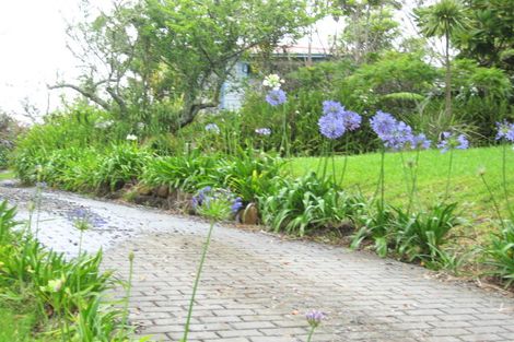Photo of property in 33 Raewyn Street, Morningside, Whangarei, 0110