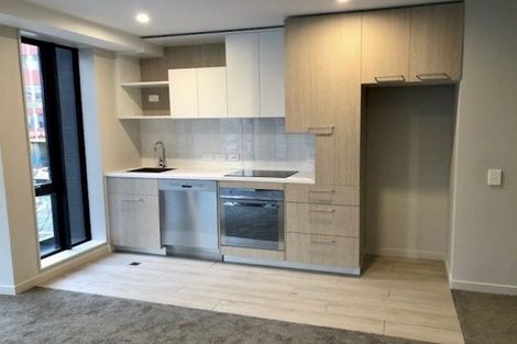 Photo of property in Vsp South, 105/168u Victoria Street, Te Aro, Wellington, 6011