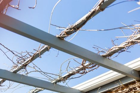 Photo of property in 48 Tweed Road, Papakowhai, Porirua, 5024