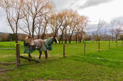 Photo of property in 1 Vogel Street, Woodville, 4920