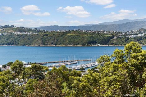 Photo of property in 21 Colville Street, Newtown, Wellington, 6021