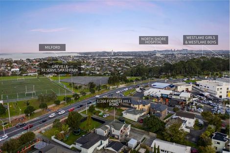 Photo of property in 1/266 Forrest Hill Road, Forrest Hill, Auckland, 0620