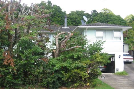 Photo of property in 62 Lemnos Place, Titirangi, Auckland, 0604