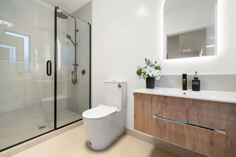 Photo of property in 13 Musselwhite Terrace, Chartwell, 3210