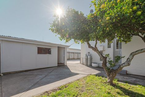 Photo of property in 1103 Saint Aubyn Street East, Parkvale, Hastings, 4122