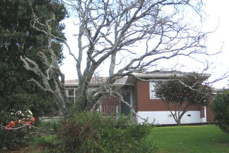 Photo of property in 41 Parrs Cross Road, Henderson, Auckland, 0612
