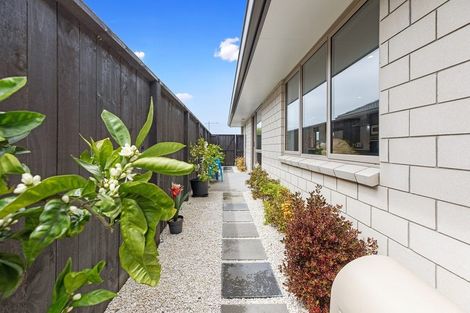 Photo of property in 38 Kuru Place, Papamoa, 3118