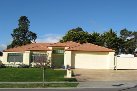 Photo of property in 8 Palmbrook Avenue, Havelock North, 4130