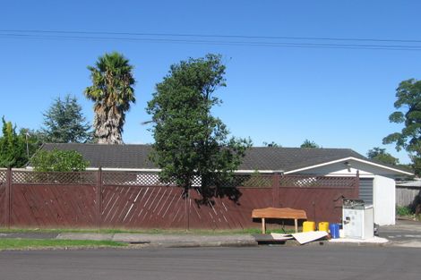 Photo of property in 14 Hinekohu Street, New Lynn, Auckland, 0600