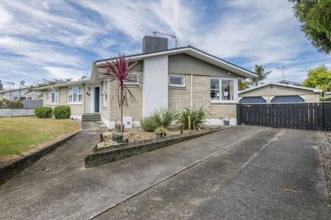 Photo of property in 38 Parsons Avenue, Levin, 5510