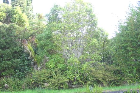 Photo of property in 43 Parrs Cross Road, Henderson, Auckland, 0612