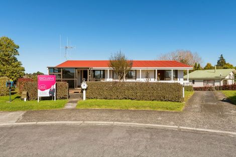 Photo of property in 9 Nettlingham Place, Te Puke, 3119