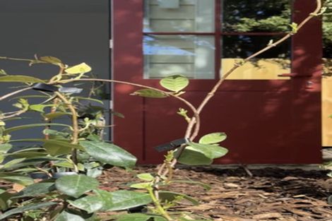 Photo of property in 3/129 Bristol Street, St Albans, Christchurch, 8014