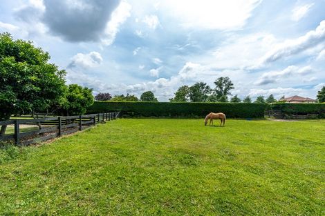 Photo of property in 626 Tauwhare Road, Matangi, Hamilton, 3287