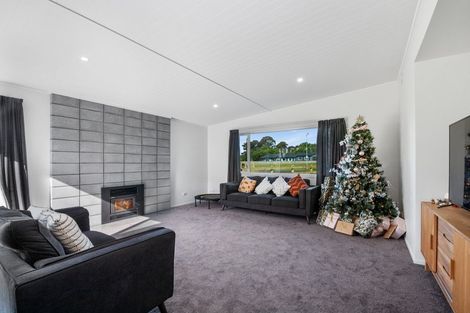 Photo of property in 64 John Norrie Place, Motuoapa, Turangi, 3382