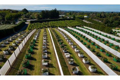 Photo of property in 581 Kerikeri Road, Kerikeri, 0293