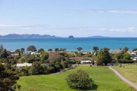 Photo of property in 925a Purangi Road, Cooks Beach, Whitianga, 3591