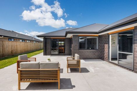 Photo of property in 43 Accolade Street, Feilding, 4702