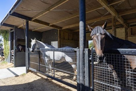 Photo of property in 349 Fordyce Road, Helensville, 0874