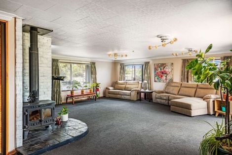 Photo of property in 17 Henley Street, Westport, 7825