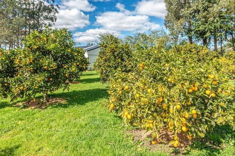 Photo of property in 394 Kaiwhaiki Road, Kaiwhaiki, Whanganui, 4575