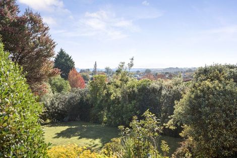 Photo of property in 39 Park Drive, Richmond, 7020