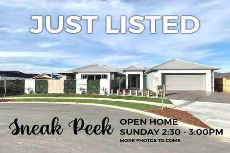 Photo of property in 10 Sydney Place, Flagstaff, Hamilton, 3210