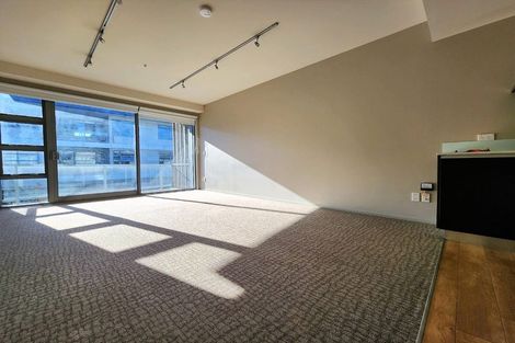 Photo of property in Revolucion Apartments, 206/28s Torrens Terrace, Mount Cook, Wellington, 6011