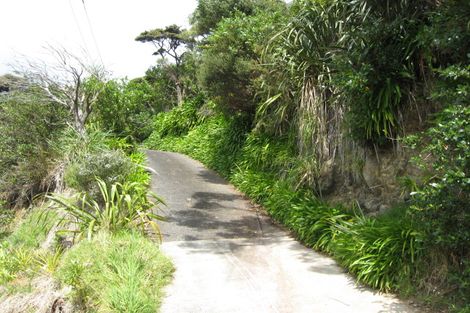 Photo of property in 44 Rayner Road, Piha, 0772
