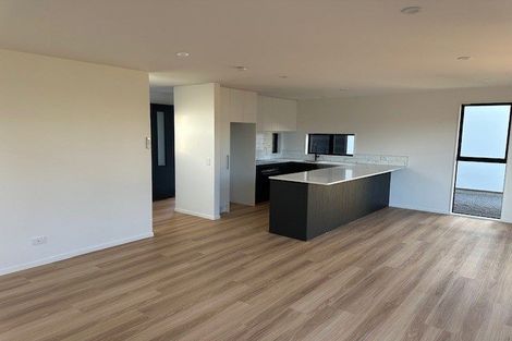 Photo of property in 41 Wychbury Street, Spreydon, Christchurch, 8024