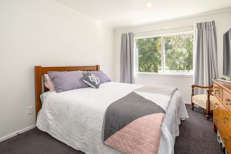 Photo of property in 38 Colville Street, Masterton, 5810