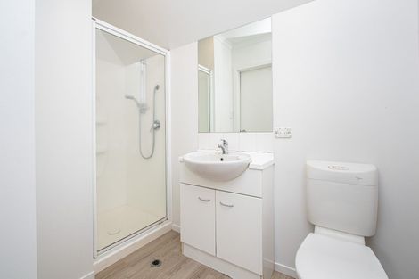 Photo of property in 219b Peachgrove Road, Claudelands, Hamilton, 3214
