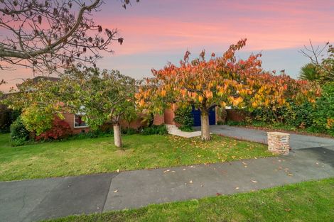 Photo of property in 220 Sawyers Arms Road, Bishopdale, Christchurch, 8053