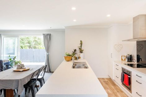 Photo of property in 29a Gemini Avenue, Milson, Palmerston North, 4414