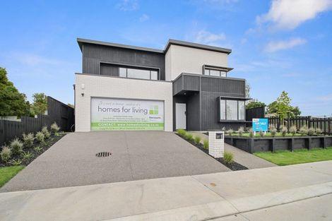 Photo of property in 37 Musselwhite Terrace, Chartwell, Hamilton, 3210