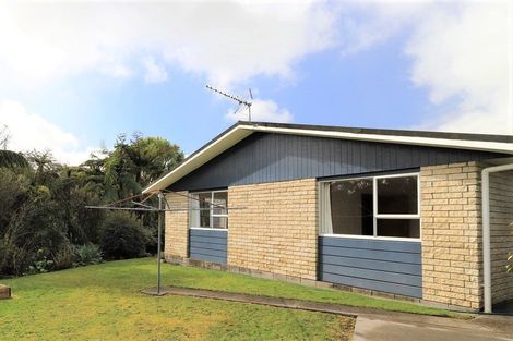Photo of property in 20a Oberon Street, Stratford, 4332