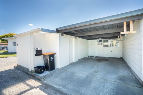 Photo of property in 125 Ferguson Street, West End, Palmerston North, 4412