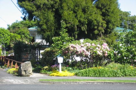 Photo of property in 437 Mandeno Street, Te Awamutu, 3800