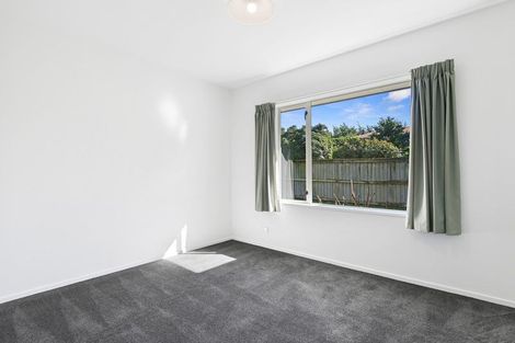 Photo of property in 163 Regent's Park Drive, Casebrook, Christchurch, 8051