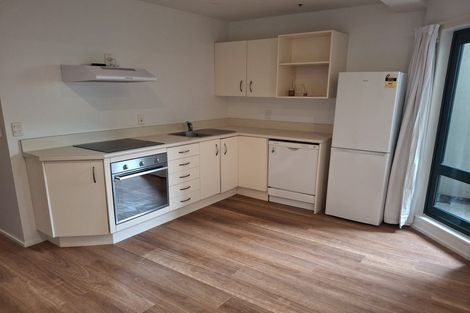 Photo of property in Courtenay Apartments, 208/120 Courtenay Place, Te Aro, Wellington, 6011