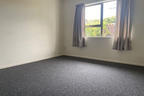 Photo of property in 21b Collingwood Street, The Wood, Nelson, 7010