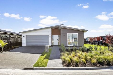 Photo of property in 29 Gosset Avenue, Chartwell, Hamilton, 3210