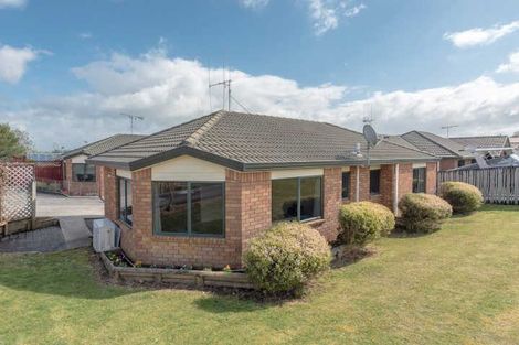 Photo of property in 43 Brymer Road, Grandview Heights, Hamilton, 3200