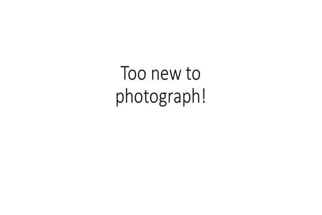 Photo of property in 13 Boundary Road, Opaheke, Papakura, 2113