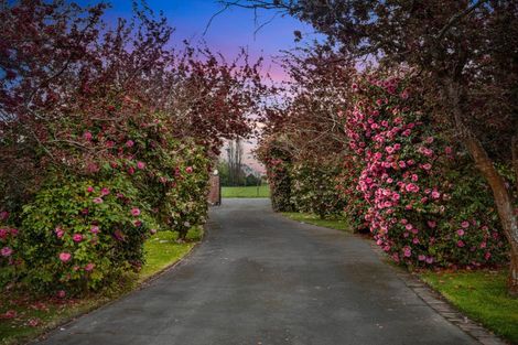 Photo of property in 86 Stanleys Road, Harewood, Christchurch, 8051