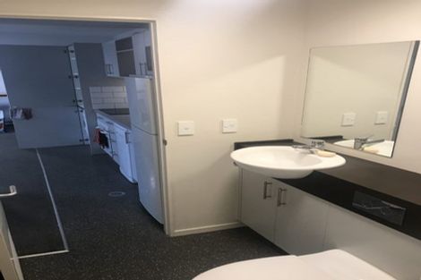 Photo of property in The Peak Apartments, 503/170 Taranaki Street, Te Aro, Wellington, 6011