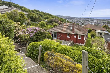 Photo of property in 50 Lindsay Road, Lookout Point, Dunedin, 9011